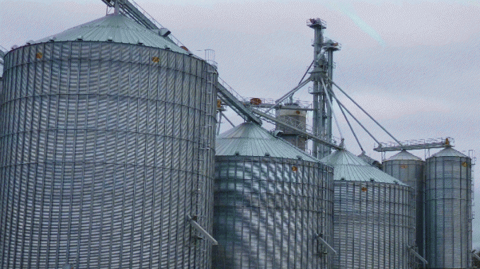biosecurity-for-grain