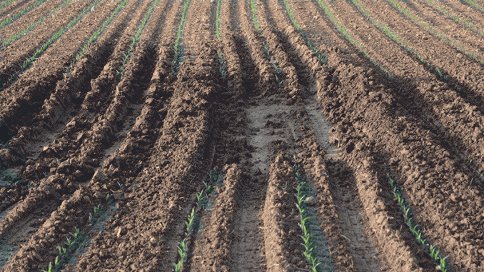 be-compaction-aware-1