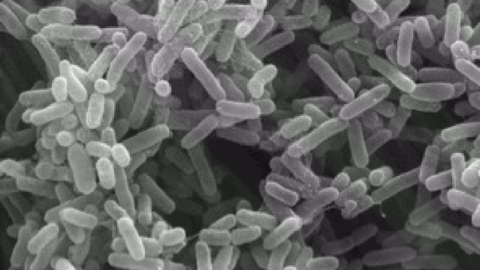 bacteria-control-of-disease
