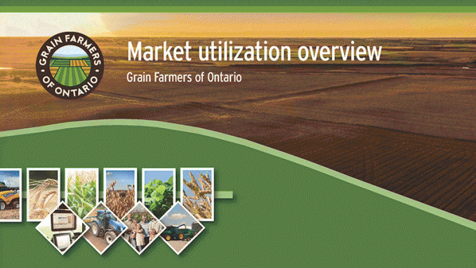 the-utilization-of-Ontario-grain