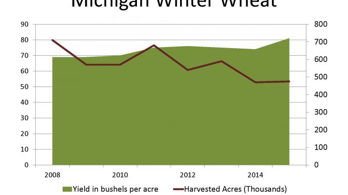 winter wheat growth