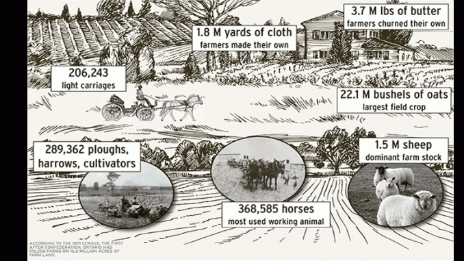by-the-numbers-infographic