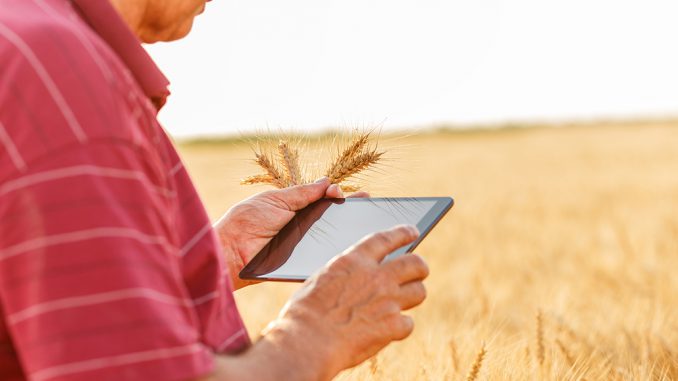understanding precision agriculture