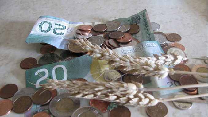 exporting grain with a stronger dollar