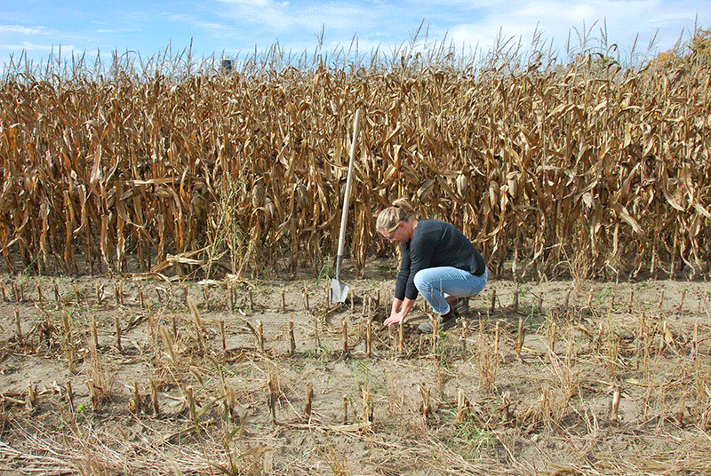 Regulatory changes and impacts - Ontario Grain Farmer