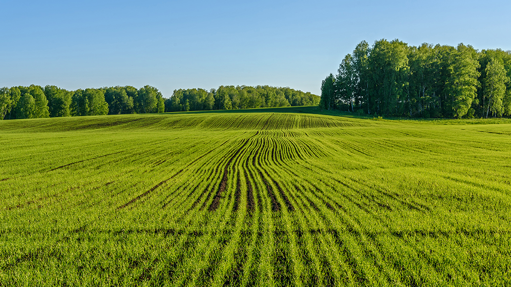 Canadian Field Print Initiative Ontario Grain Farmer