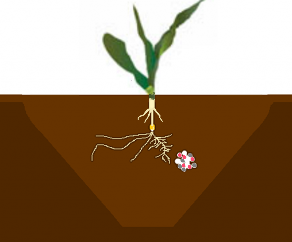 Cropside Starter fertilizer Ontario Grain Farmer