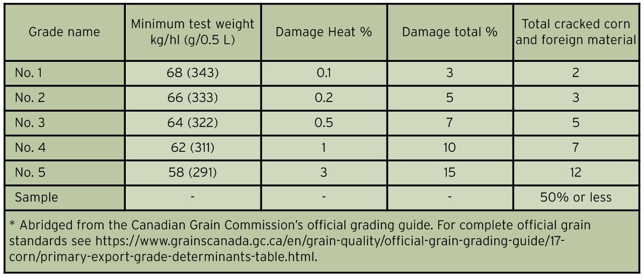 Managing a late corn crop Ontario Grain Farmer