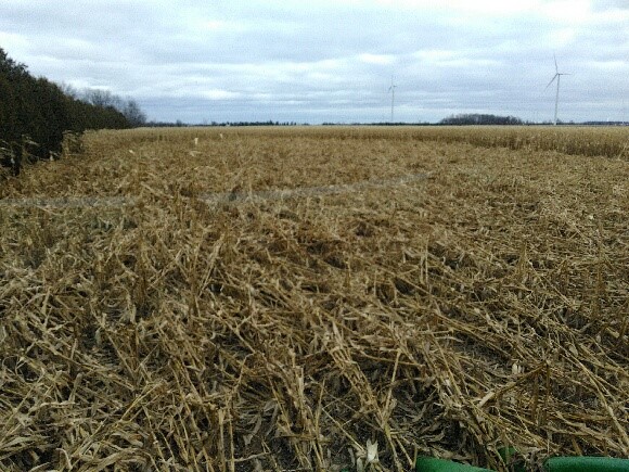 Corn harvest - Ontario Grain Farmer