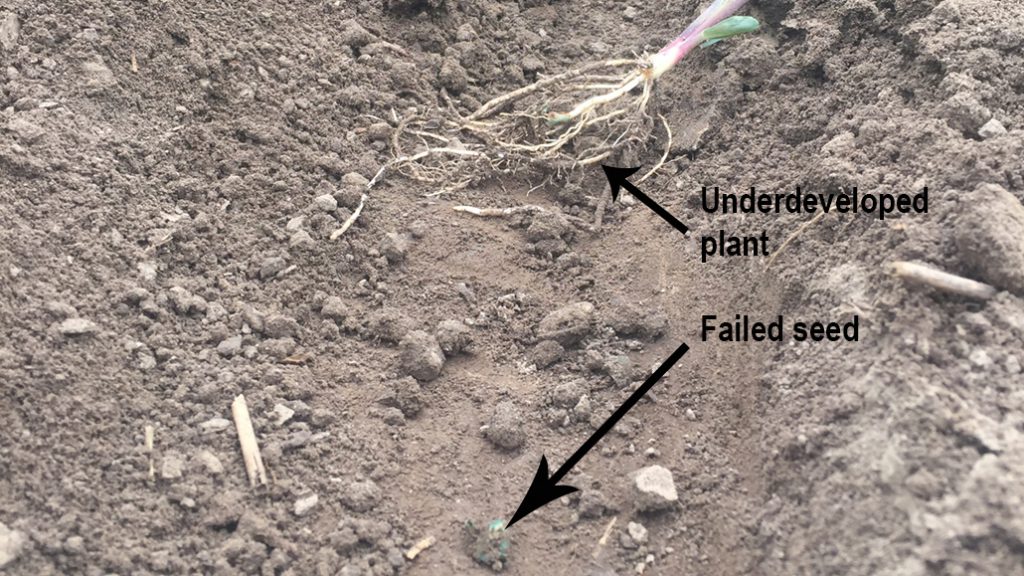 Cropside Avoiding the burn Ontario Grain Farmer