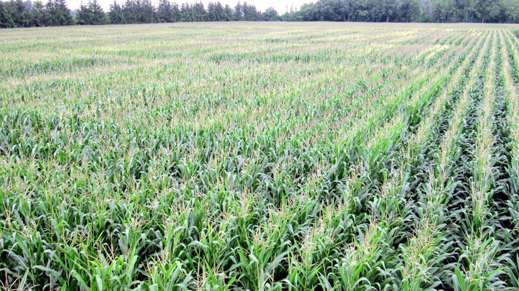 A lasting impact - Ontario Grain Farmer
