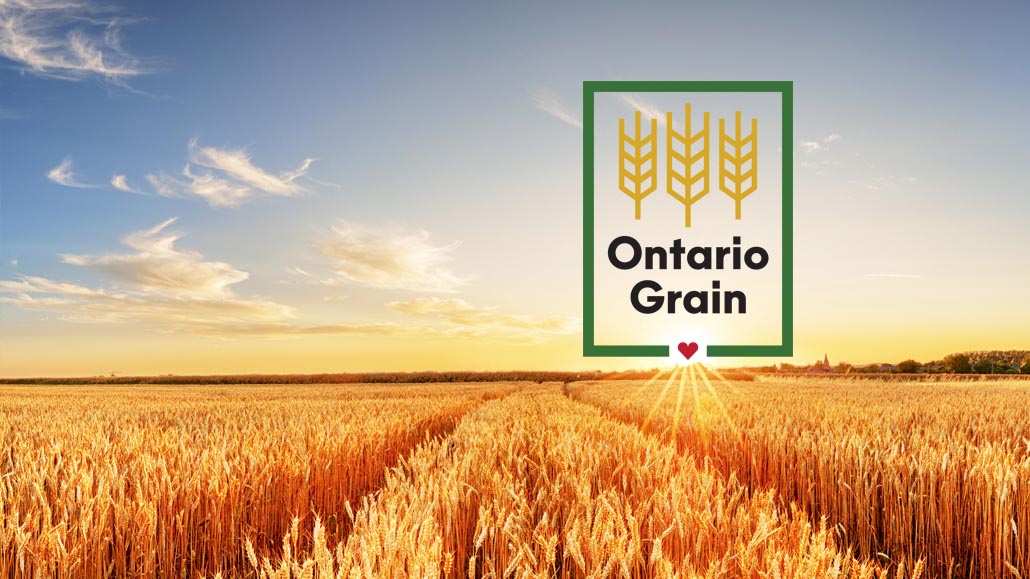 Ontario grains spotlight Ontario Grain Farmer