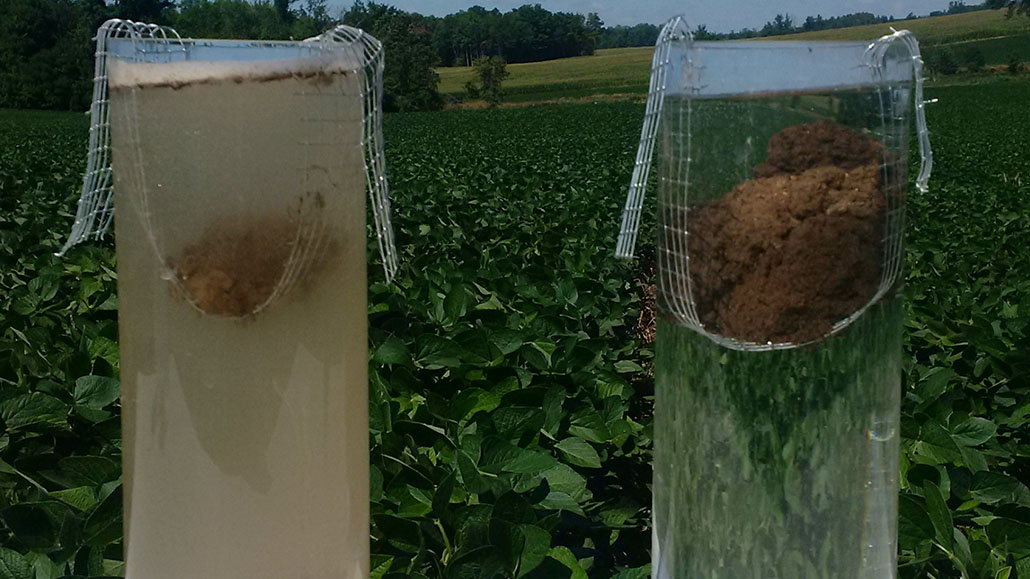 Cropside Soil crusting Ontario Grain Farmer