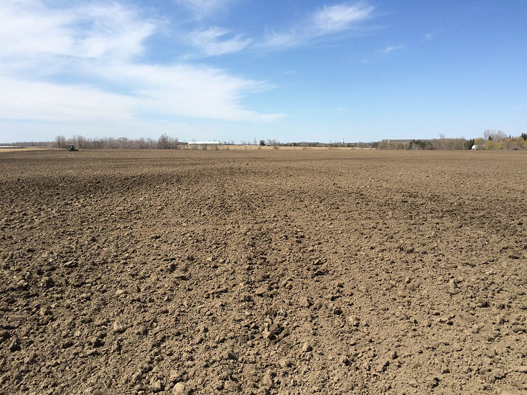 Field observations - Ontario Grain Farmer