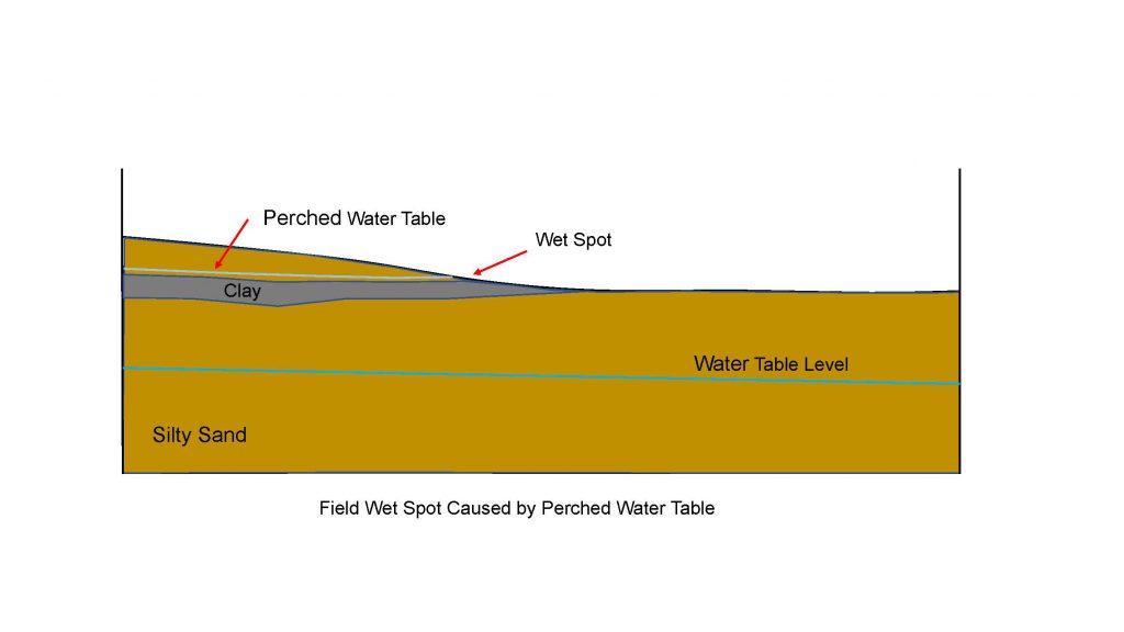 Water Management Ontario Grain Farmer, What Causes A Perched Water Table