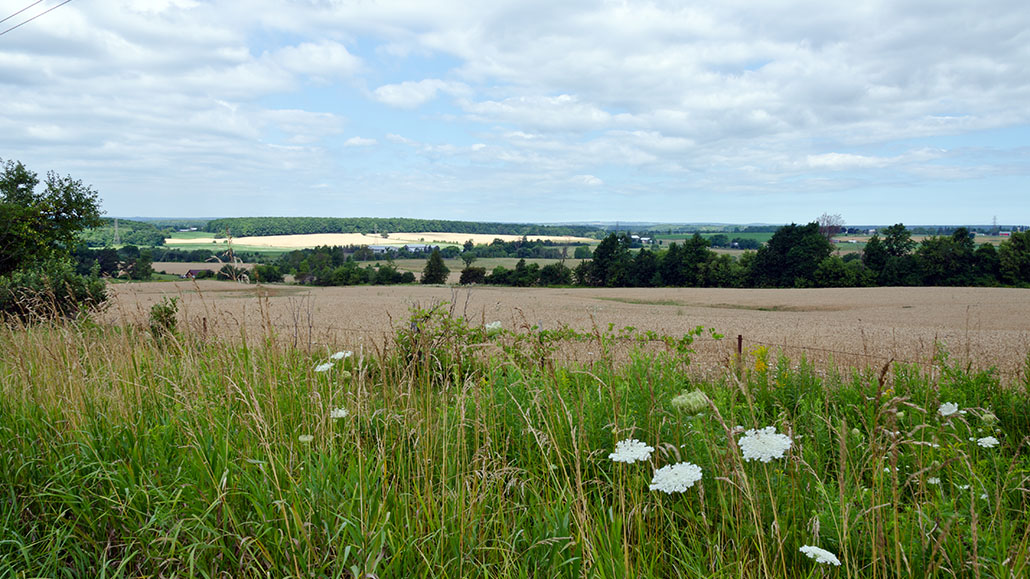 Agriculture in the North - Ontario Grain Farmer