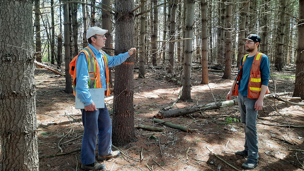Farmers and woodlots Ontario Grain Farmer