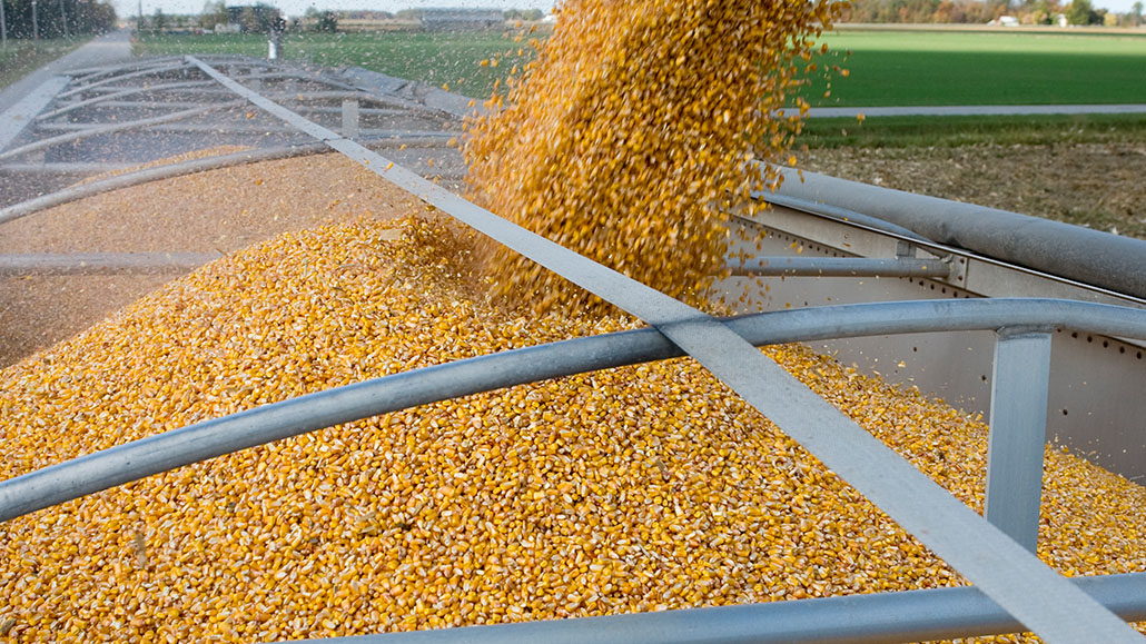 The price of corn Ontario Grain Farmer