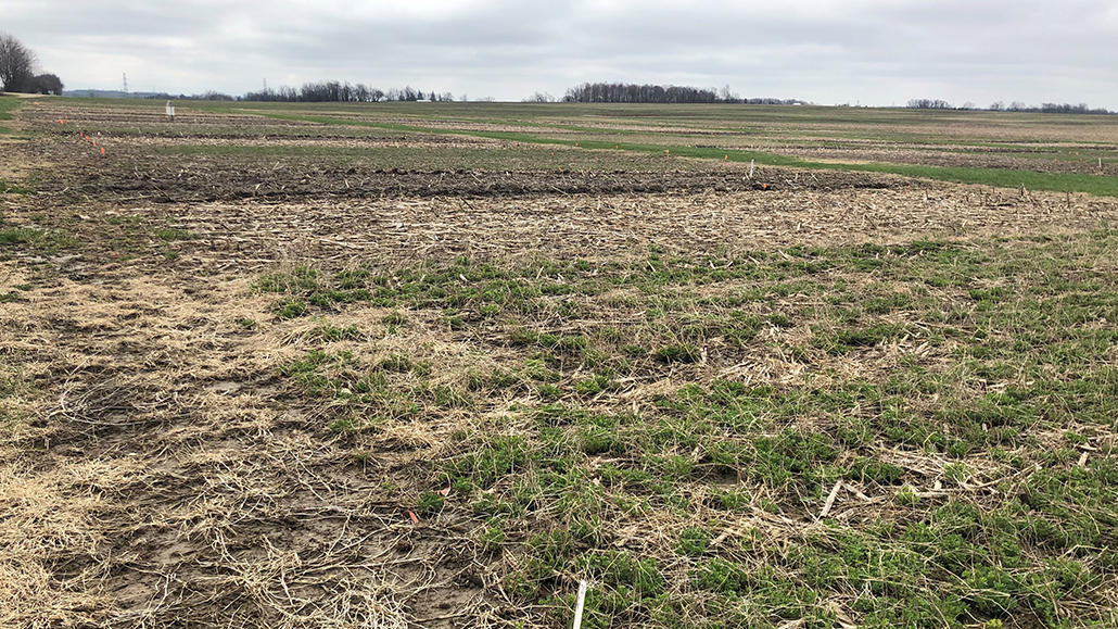 Soil Health - Ontario Grain Farmer