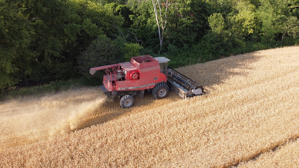 Corn Harvest at 45% Lags Average; Soybeans 89% Done, CropWatch