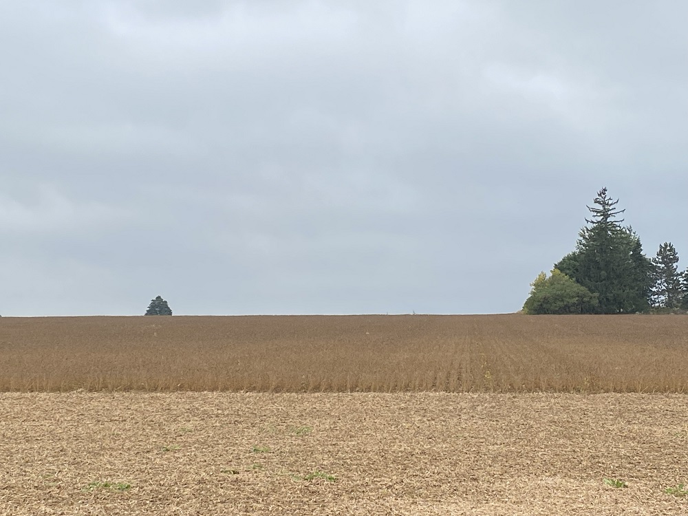 Corn harvest acres and bushels per acre up in 2023 - Talk Business