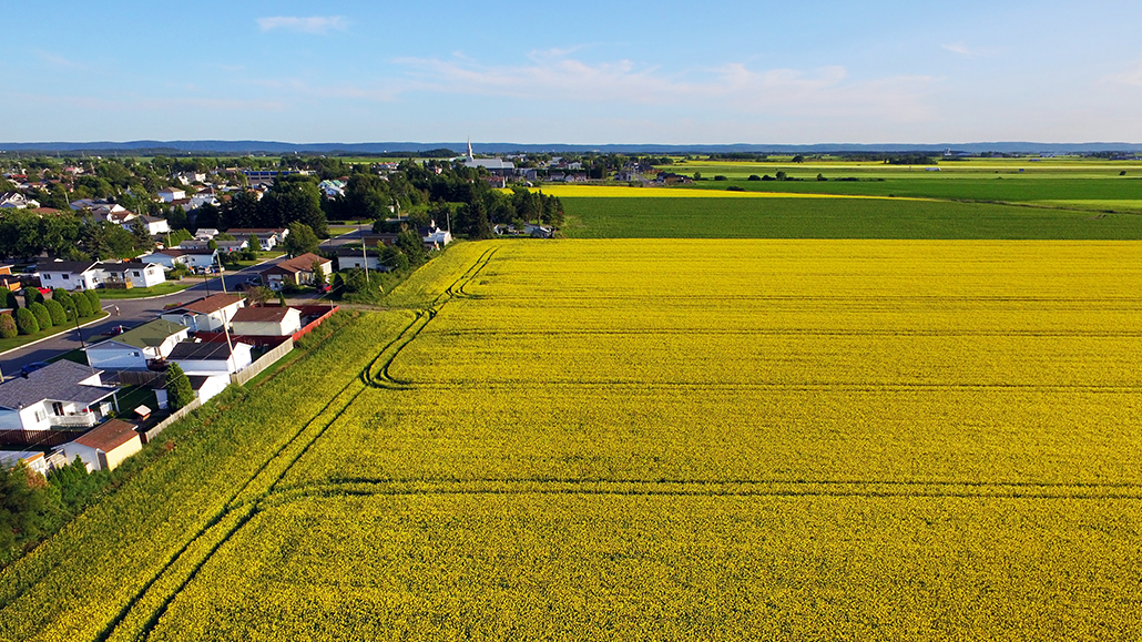 Urban Sprawl Ontario Grain Farmer   Urban Sprawl 