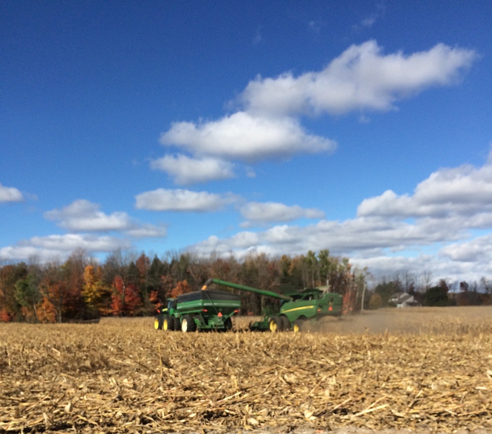 Ask an agronomist: benefits of a timely soybean and corn harvest