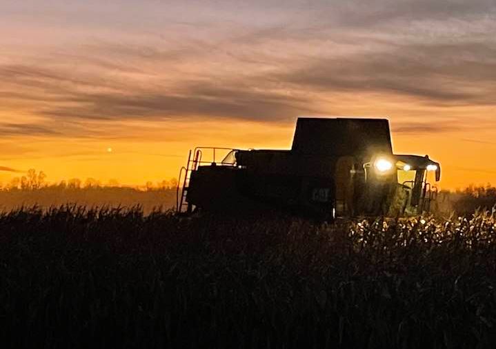 Corn harvest - Ontario Grain Farmer