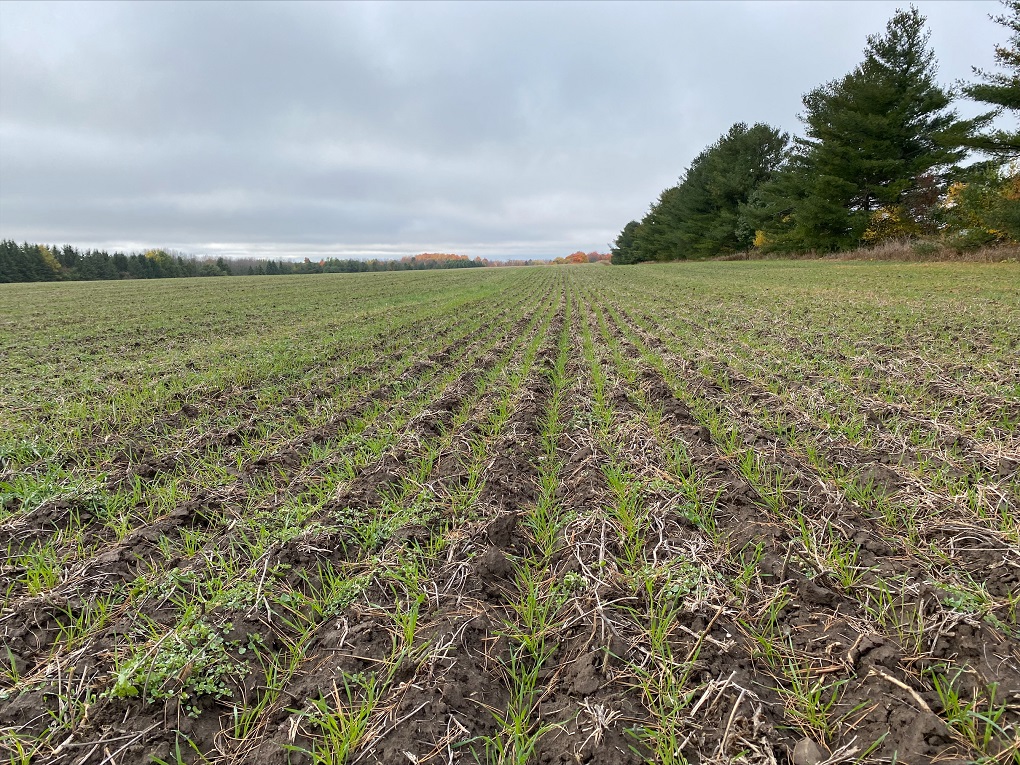 Ask an agronomist: benefits of a timely soybean and corn harvest