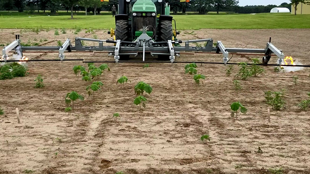 Alternative weed control Ontario Grain Farmer