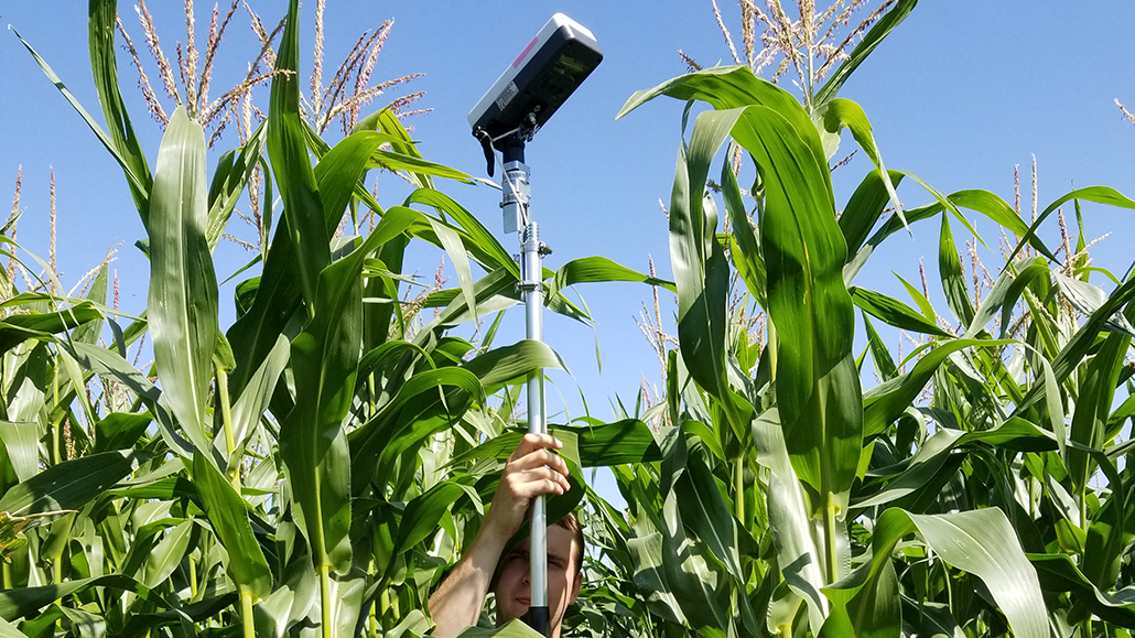 4R grain corn - Ontario Grain Farmer