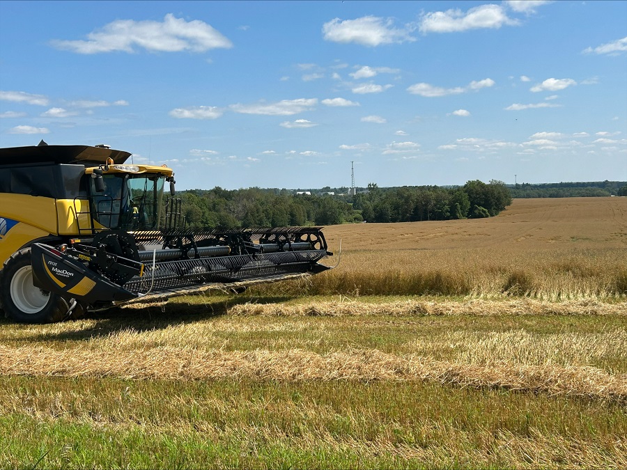 Corn harvest acres and bushels per acre up in 2023 - Talk Business