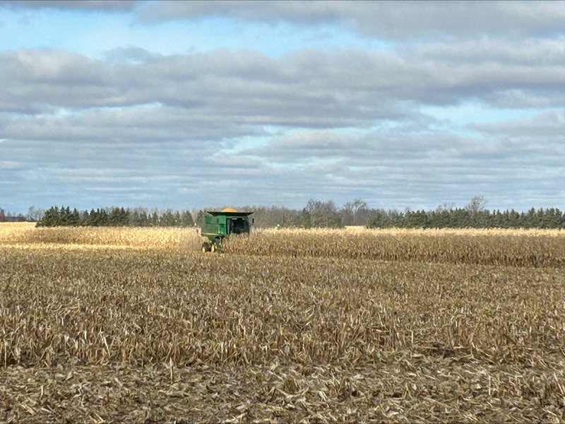 Corn harvest begins in Illinois as crop conditions fall - Brownfield Ag News