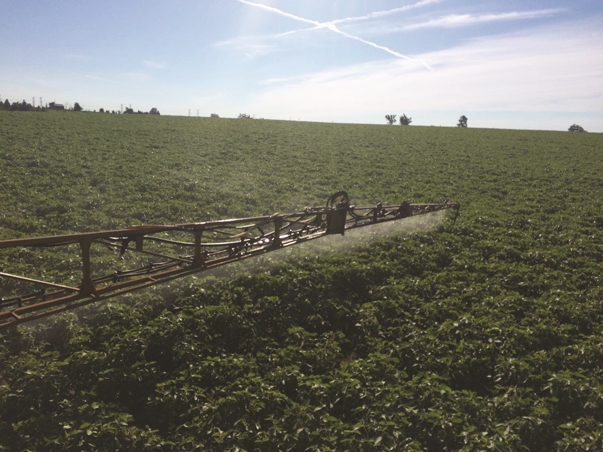 Weed management - Ontario Grain Farmer