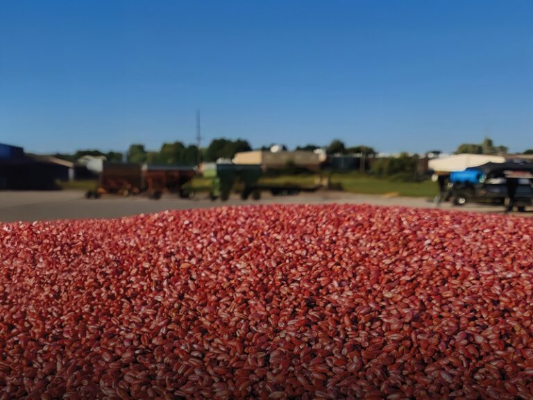 Your questions, answered - Ontario Grain Farmer